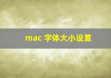 mac 字体大小设置